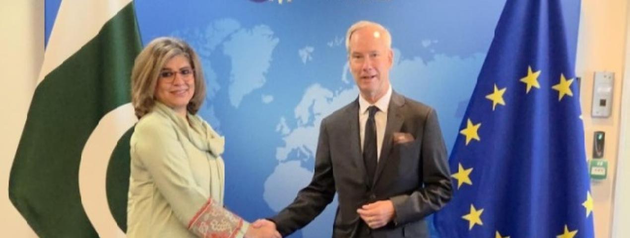 European Union Delegation to Pakistan Logo