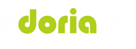 Doria Pfob MSc doriaBusinessmodeling Logo