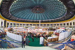 ROMEXPO Logo