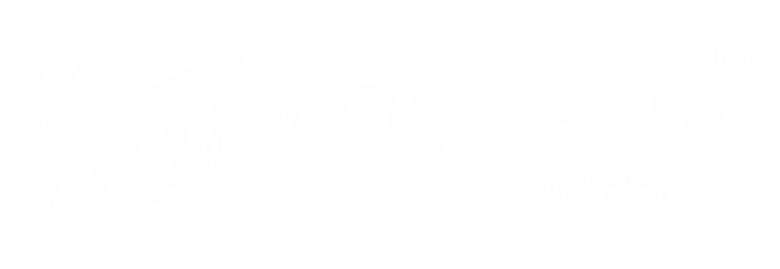 Noverra Markets Logo