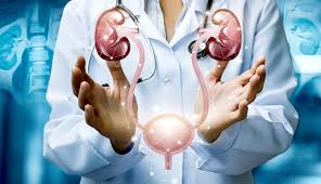 INDIA INTERNATIONAL UROLOGY AND NEPHROLOGY EXPO - Bengaluru 2026