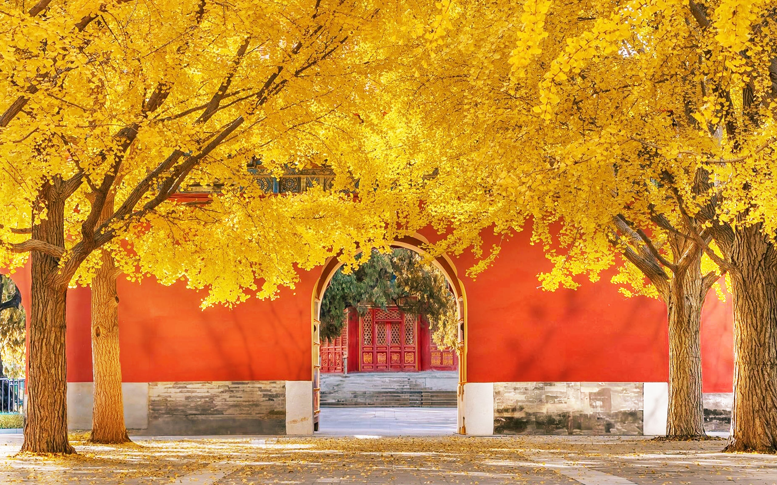 CCBE Autumn 2026