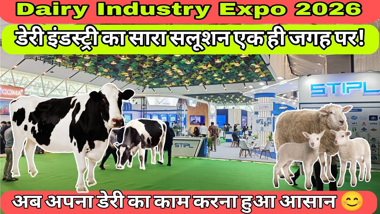 2026 Ningxia Dairy and Cattle-Sheep Industry Conference