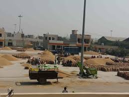 New Grain Market